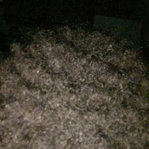 Meet your Posher, Bryan